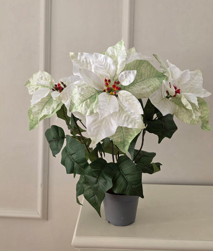 Julstjärna Vit 45 cm