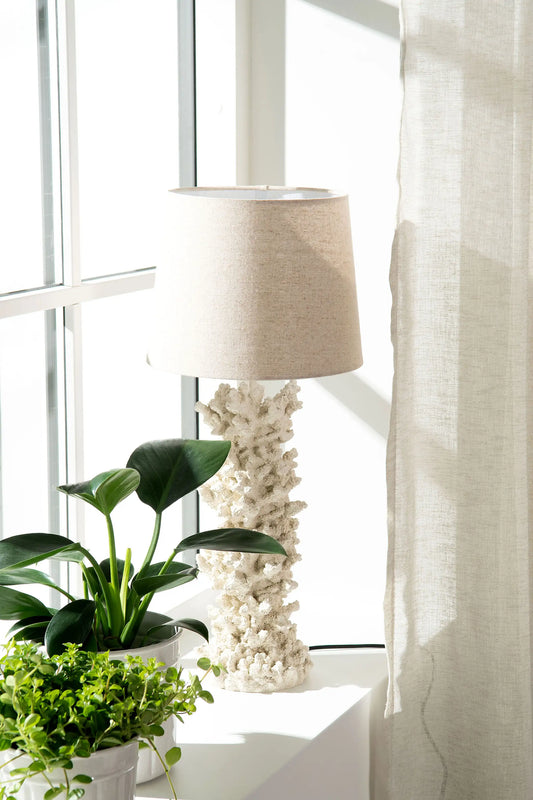 Lampfot Korall
46 cm