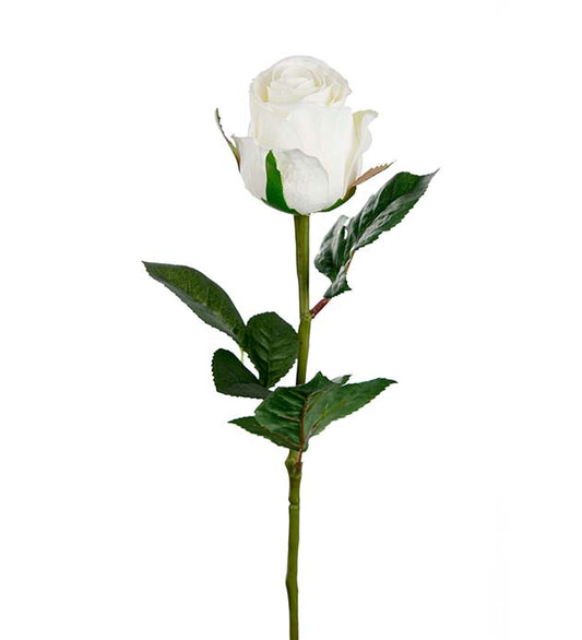 Konst Ros Vit 50 cm, 5-pack