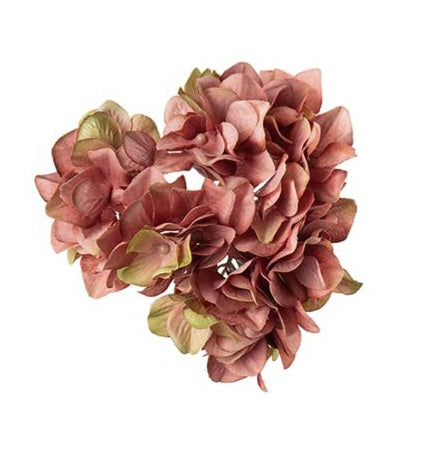 Hortensia med clips Gammelrosa