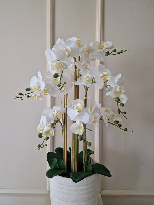Konstgjord Orkidé 80 cm, 8 stam Vit