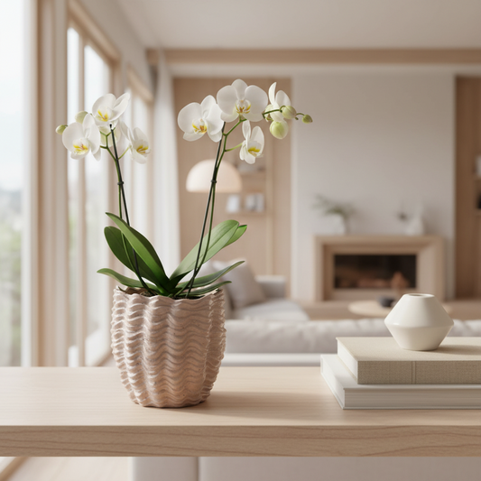 Kruka Clare 21 cm Beige