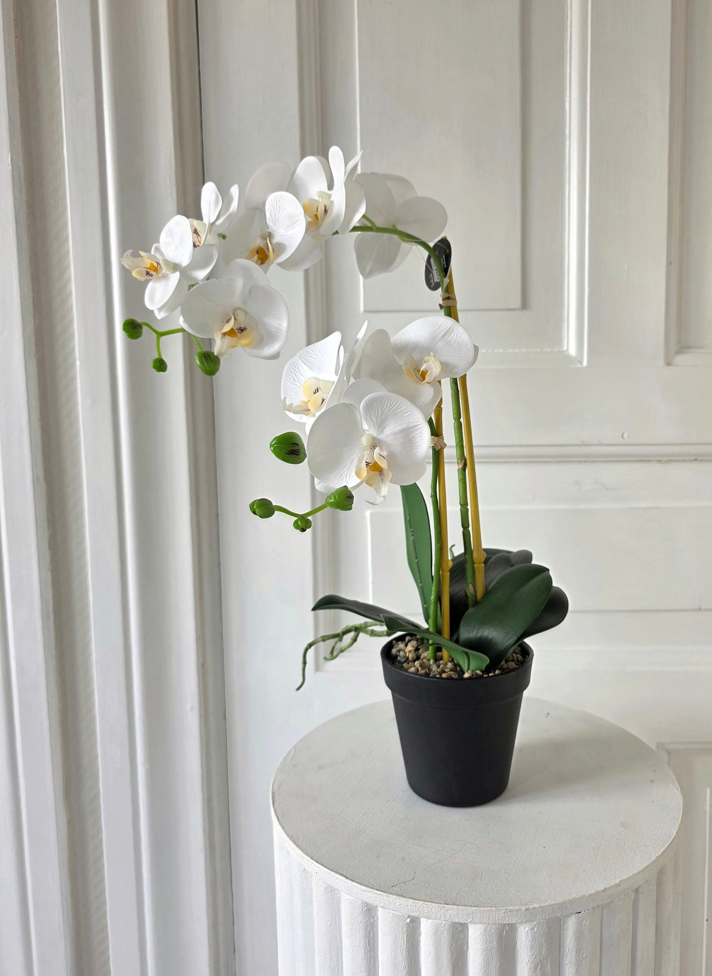 Konstgjord Orkidé 54 cm, 2 stam Vit