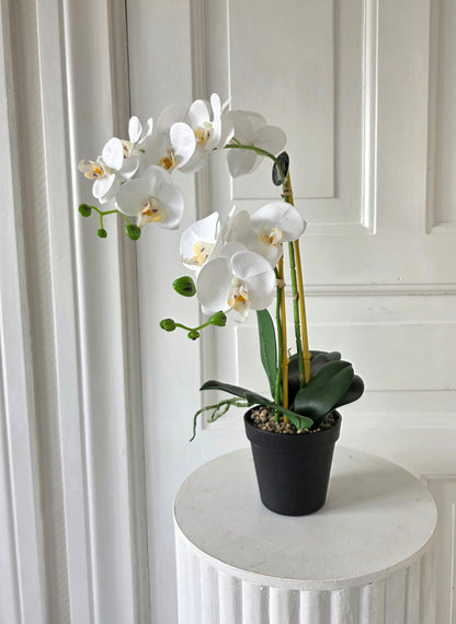 Konstgjord Orkidé 54 cm, 2 stam Vit