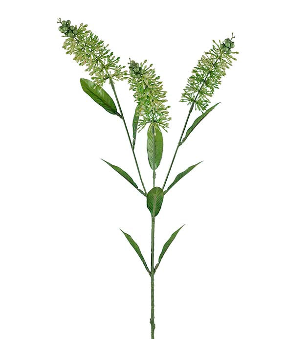 Konst Astilbe Grön 70 cm