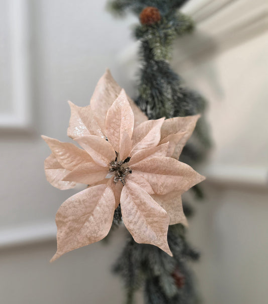 Julstjärna med clips Champange 24 cm