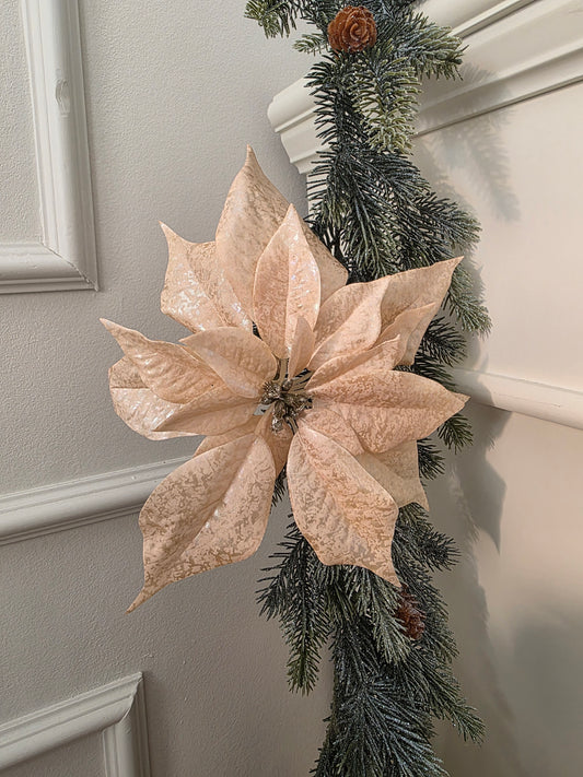 Julstjärna med clips Champange 24 cm