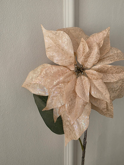 Julstjärna Champange Shimmer 70 cm