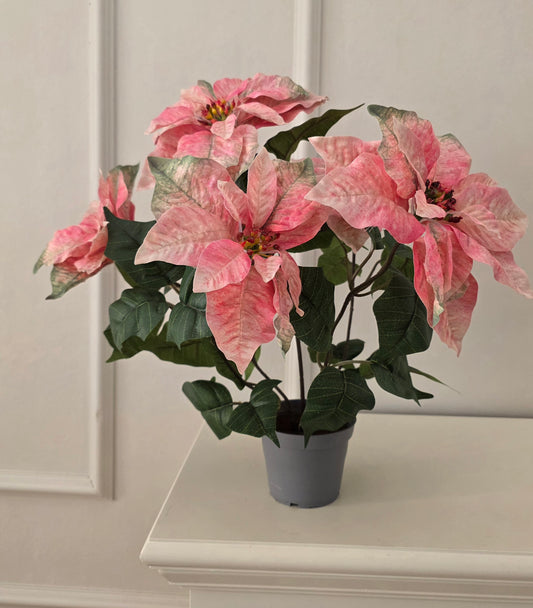 Julstjärna Rosa 45 cm