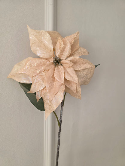 Julstjärna Champange Shimmer 70 cm