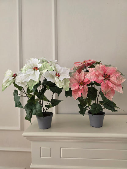 Julstjärna Vit 45 cm