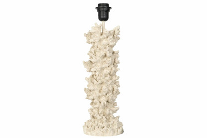 Lampfot Korall
46 cm