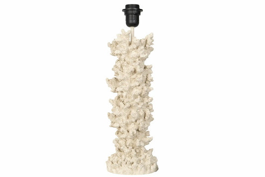 Lampfot Korall
46 cm