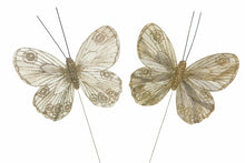Load image into Gallery viewer, Butterfly Stick Lacy 
