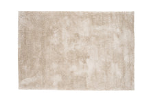 Load image into Gallery viewer, WALTER Carpet 240 X 340 Beige
