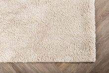 Load image into Gallery viewer, WALTER Carpet 240 X 340 Beige
