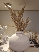 Load image into Gallery viewer, Pampas grass 35cm 
