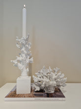 Load image into Gallery viewer, Korall sea dekoration vit
