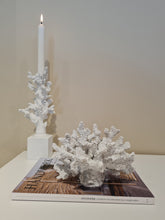 Load image into Gallery viewer, Korall sea dekoration vit
