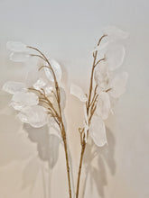 Ladda upp bild till gallerivisning, Lunaria Konstgjord Kvist

