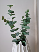 Load image into Gallery viewer, Eucalyptus 60 cm
