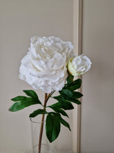 Load image into Gallery viewer, Pion 65 cm
