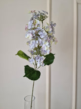 Load image into Gallery viewer, Lilac hydrangea Blue 80 cm
