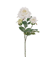 Load image into Gallery viewer, Rose White 55 cm
