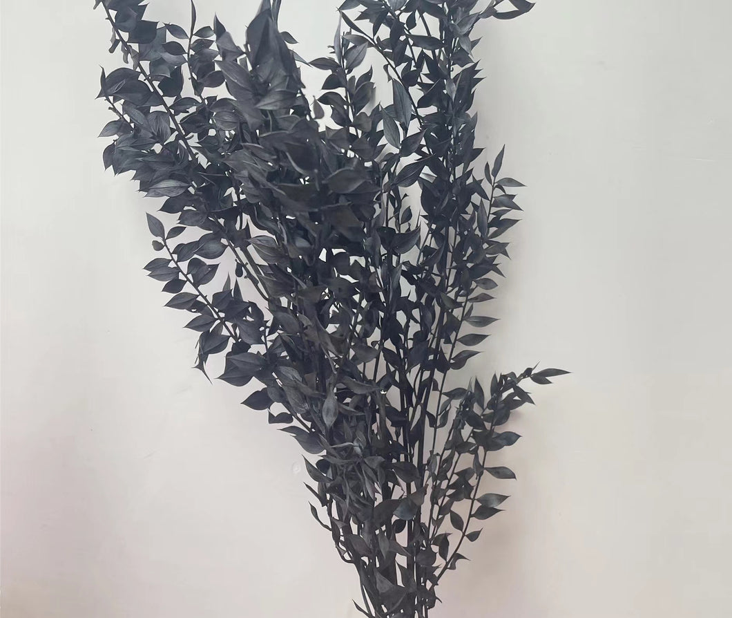 Ruscus Black 100gr - Getrocknete Blüten und Blätter
