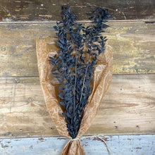 Load image into Gallery viewer, Ruscus Svart 100gr - Torkade blommor &amp; blad
