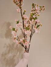 Lade das Bild in den Galerie-Viewer, Kirschblüte 120 cm

