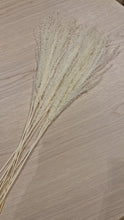 Load and play video in Gallery viewer, Dried flowers &amp; leaves, Pampas grass luxurious miscanthus White
